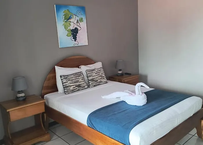 Hotel La Vid La Fortuna